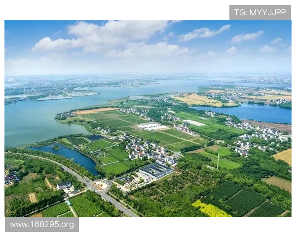 宝运莱:引领财富新风尚的投资平台与发展前景